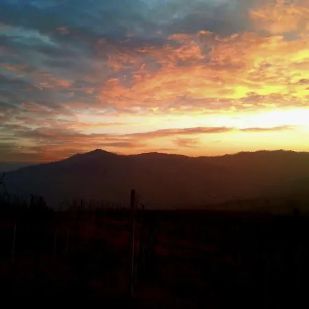 Luisa Farma Ziano Piacentino