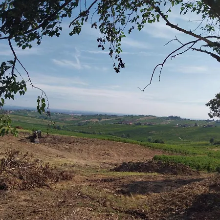 Luisa Ziano Piacentino