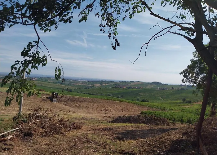 Luisa Ziano Piacentino